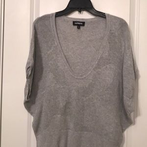 Express light weight V-neck Sweater